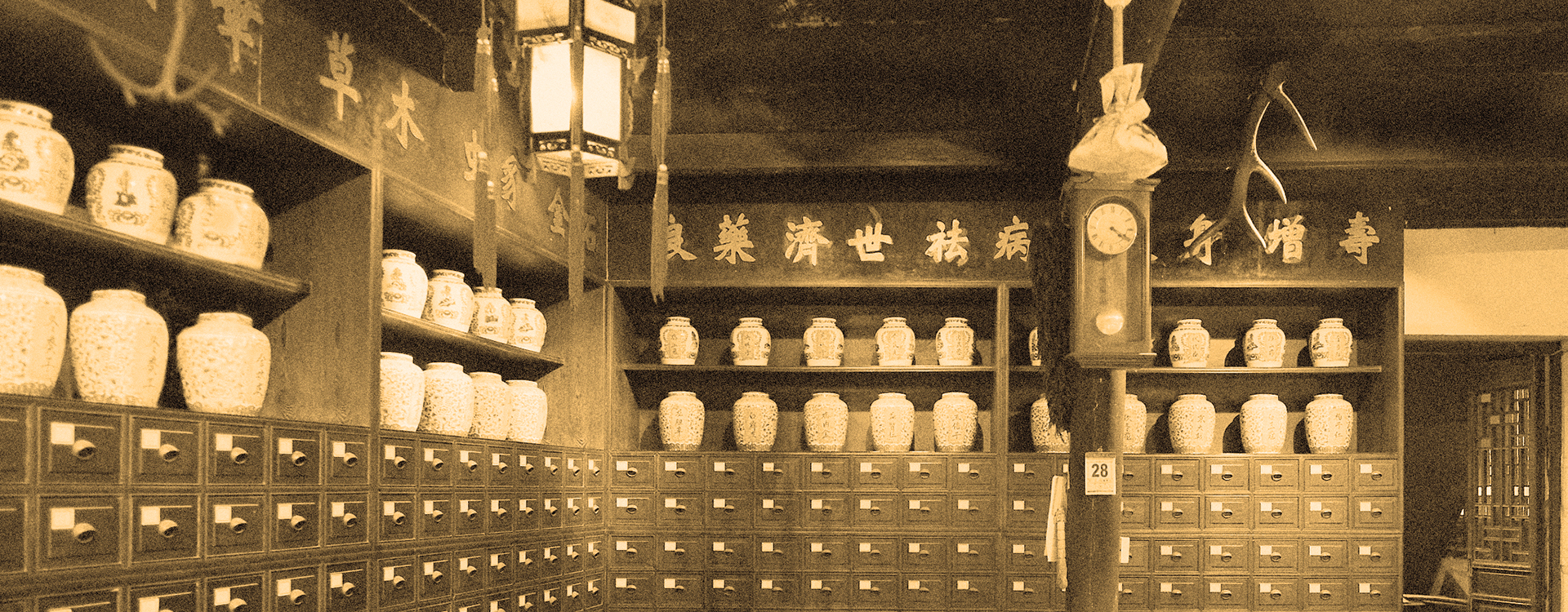 TCM: Gesundheit durch Gleichgewicht